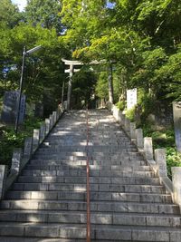 Steps leading to staircase