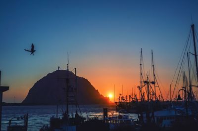 Silhouette sailboats in sea against clear sky during sunset