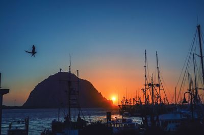 Silhouette sailboats in sea against clear sky during sunset