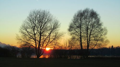 Silhouette bare trees on field against clear sky during sunset