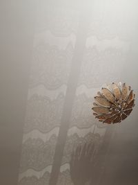 Close-up of flower on wall at home