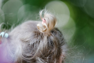 Close-up portrait of woman outdoors