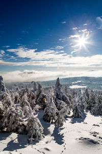 Scenic view of snowcapped landscape against sky during winter