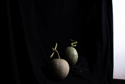 still life photography