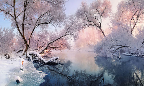 Bare trees on frozen lake against sky