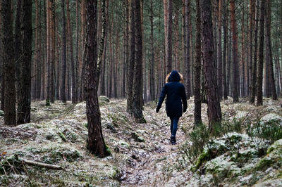 Rear view of woman walking in forest