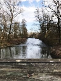 Scenic view of river amidst trees in forest against sky