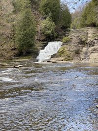 Scenic view of waterfall in forest
