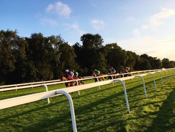 Group of jockeys riding horses in race course