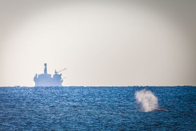 Boat sailing in sea against clear sky