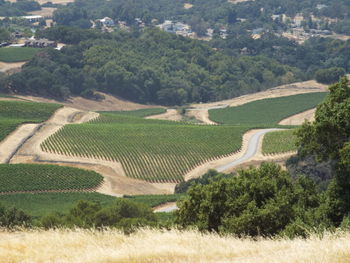 High angle view of agricultural landscape