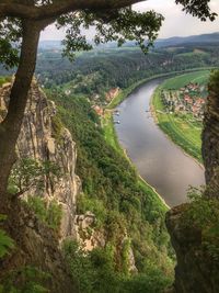 Scenic view of river amidst trees