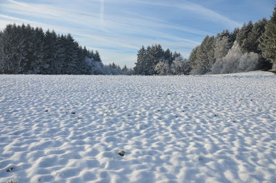 Scenic view of snow covered landscape