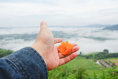Cropped image of hand holding orange flower against sky