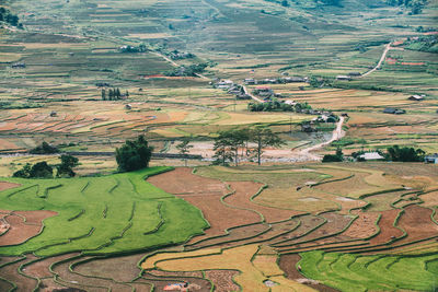 High angle view of agricultural field