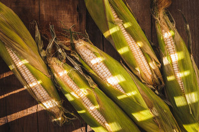 Close-up of sweetcorns on table