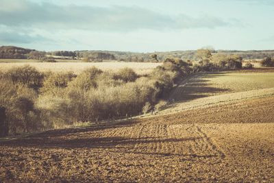 Scenic view of field against sky