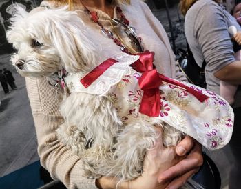 Midsection of woman holding dog