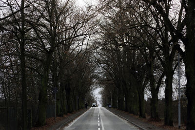 Empty road along trees in forest