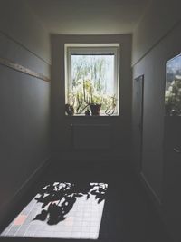 View of window