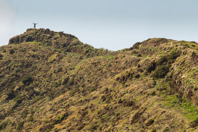 Beautiful rock structures in big volcano of island of faial in the azores