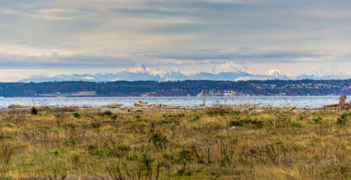 A view of grass an mountains from port townsend, washington.