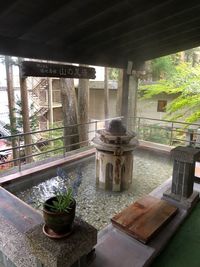 Potted plants on balcony of old building