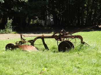 Bicycles on field in forest