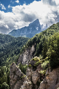 Scenic view of forest against sky