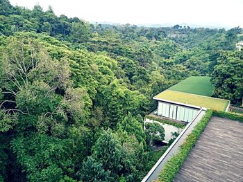 Scenic view of forest against sky