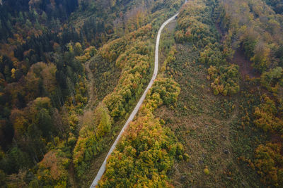 Aerial top view of road through autumn forest in mountains