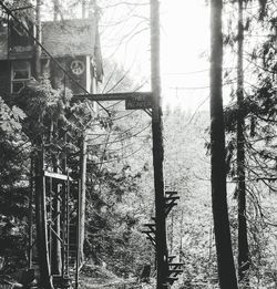 Bare trees in forest against sky