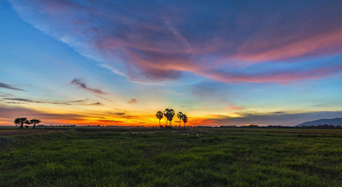 Scenic view of sunset