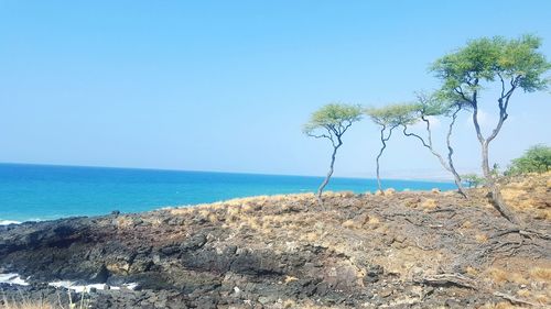 Scenic view of sea against clear sky