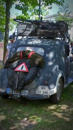 View of car on tree