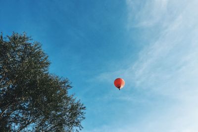 Low angle view of trees against blue sky