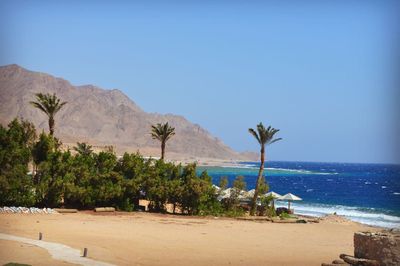 Scenic view of beach against clear sky