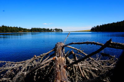 Scenic view of lake against blue sky