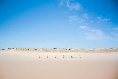 View of a desert