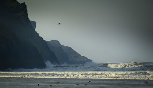 Birds flying over cliffs on a beach