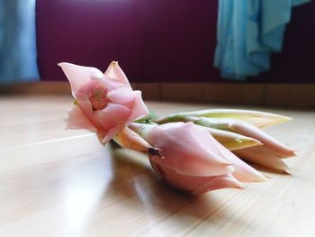 Close-up of pink rose on table at home