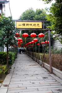 Road in a garden