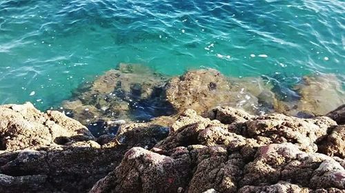 Close-up of rocks in sea