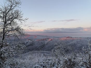 Scenic view of landscape against sky during sunset