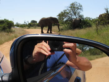 Man holding a horse in car