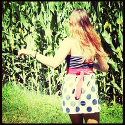 grass