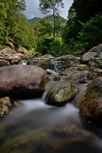 Stream flowing through rocks in forest