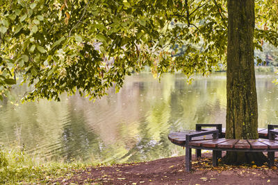 Bench by lake in park during rainy season