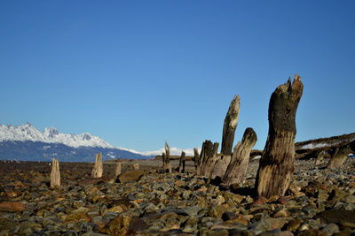 Scenic view of snowcapped mountains against clear blue sky