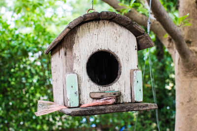 Close-up of birdhouse on tree trunk